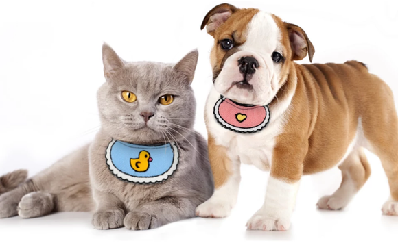 PETS Food/Accessories