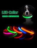 LED DOG COLLAR